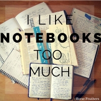I like Notebooks Too Much...